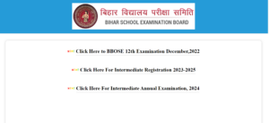 BSEB Dummy Admit Card 2024