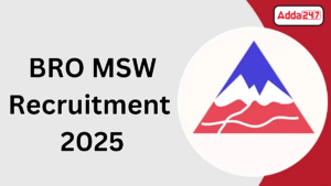 BRO MSW Recruitment 2025